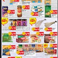 spar 13 outubro p (5).jpg